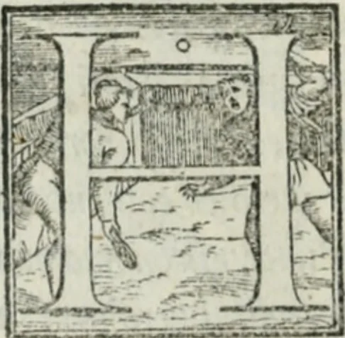 An illustration from De le lettere di m. Clavdio Tolomei lib. sette. Con vna breve dichiarazione in fine di tvtto l'ordin de l'ortografia di qvesta opera, 1547, leaf 451