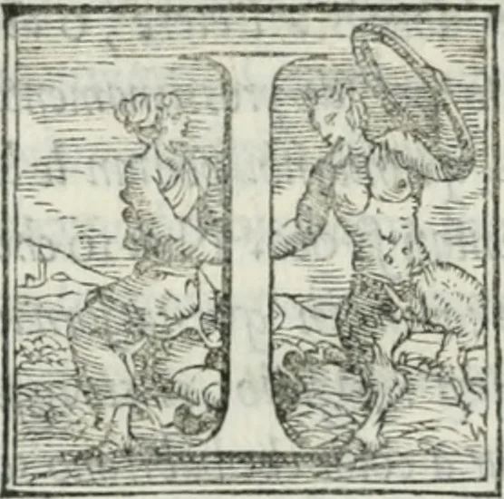 An illustration from De le lettere di m. Clavdio Tolomei lib. sette. Con vna breve dichiarazione in fine di tvtto l'ordin de l'ortografia di qvesta opera, 1547, leaf 457