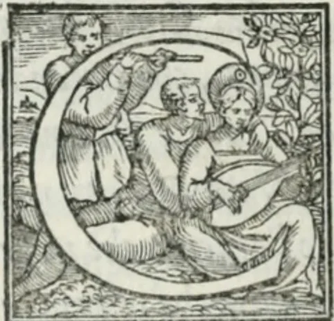 An illustration from De le lettere di m. Clavdio Tolomei lib. sette. Con vna breve dichiarazione in fine di tvtto l'ordin de l'ortografia di qvesta opera, 1547, leaf 459