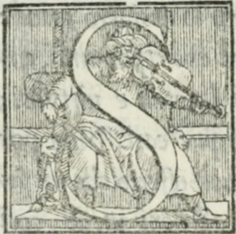 An illustration from De le lettere di m. Clavdio Tolomei lib. sette. Con vna breve dichiarazione in fine di tvtto l'ordin de l'ortografia di qvesta opera, 1547, leaf 461