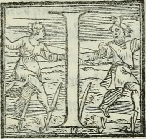 An illustration from De le lettere di m. Clavdio Tolomei lib. sette. Con vna breve dichiarazione in fine di tvtto l'ordin de l'ortografia di qvesta opera, 1547, leaf 464