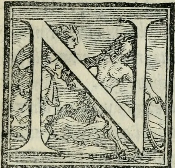 An illustration from De le lettere di m. Clavdio Tolomei lib. sette. Con vna breve dichiarazione in fine di tvtto l'ordin de l'ortografia di qvesta opera, 1547, leaf 468