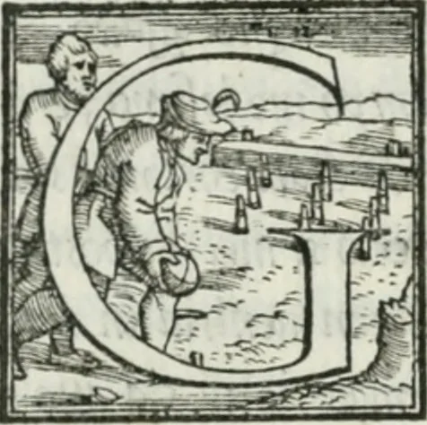 An illustration from De le lettere di m. Clavdio Tolomei lib. sette. Con vna breve dichiarazione in fine di tvtto l'ordin de l'ortografia di qvesta opera, 1547, leaf 47