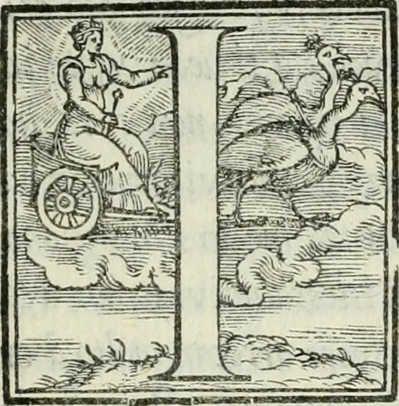 An illustration from De le lettere di m. Clavdio Tolomei lib. sette. Con vna breve dichiarazione in fine di tvtto l'ordin de l'ortografia di qvesta opera, 1547, leaf 64