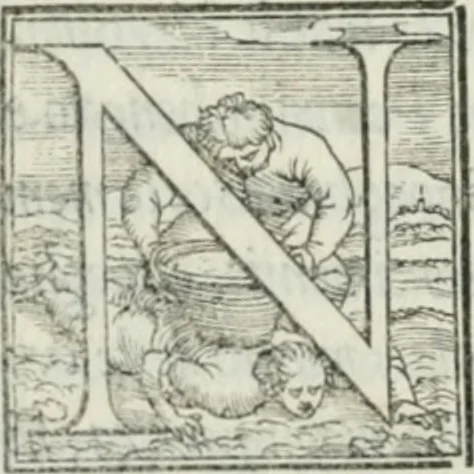 An illustration from De le lettere di m. Clavdio Tolomei lib. sette. Con vna breve dichiarazione in fine di tvtto l'ordin de l'ortografia di qvesta opera, 1547, leaf 67