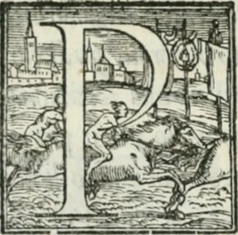 An illustration from De le lettere di m. Clavdio Tolomei lib. sette. Con vna breve dichiarazione in fine di tvtto l'ordin de l'ortografia di qvesta opera, 1547, leaf 81