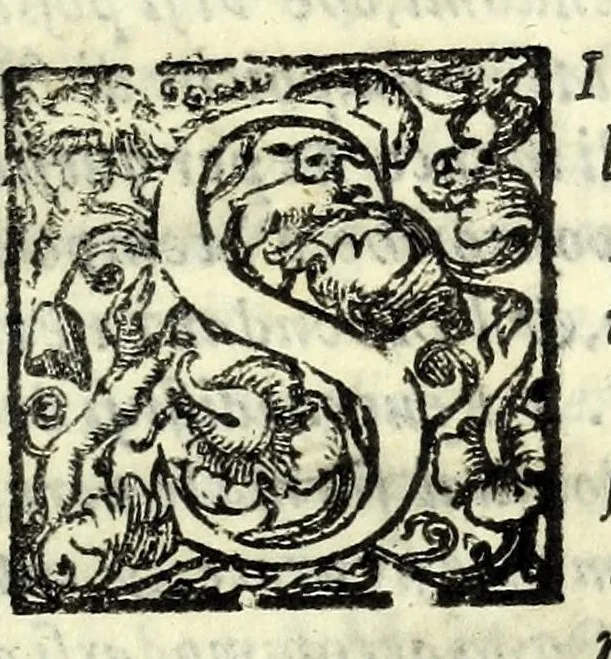 An illustration from De le lettere familiari del commendatore Annibal Caro, volume primo[-secondo], 1587, leaf 197