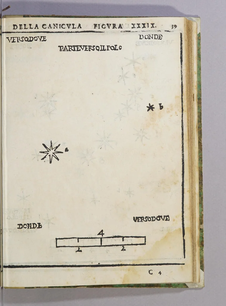 An illustration from De le stelle fisse libro uno; : doue di tutte le XLVIII imagin celesti minutissimamente si tratta ... et oltre à questo ci sono tauolo, con nuoua inuentione fabricate, 1558, leaf 103