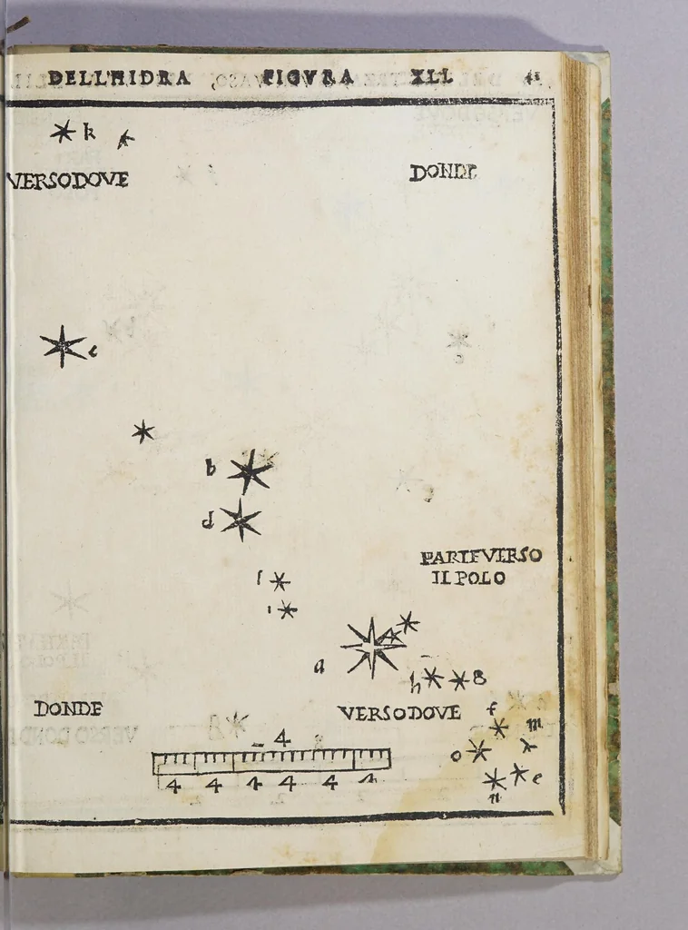An illustration from De le stelle fisse libro uno; : doue di tutte le XLVIII imagin celesti minutissimamente si tratta ... et oltre à questo ci sono tauolo, con nuoua inuentione fabricate, 1558, leaf 105