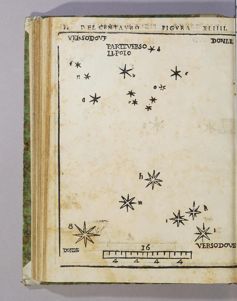 An illustration from De le stelle fisse libro uno; : doue di tutte le XLVIII imagin celesti minutissimamente si tratta ... et oltre à questo ci sono tauolo, con nuoua inuentione fabricate, 1558, leaf 108