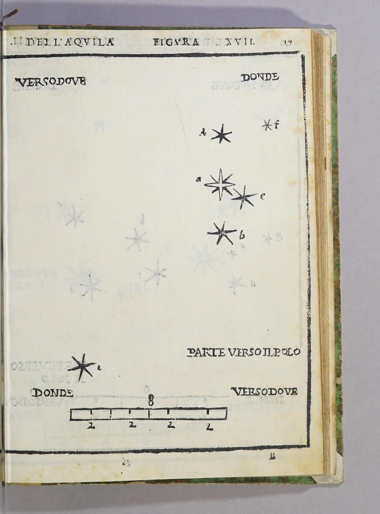 An illustration from De le stelle fisse libro uno; : doue di tutte le XLVIII imagin celesti minutissimamente si tratta ... et oltre à questo ci sono tauolo, con nuoua inuentione fabricate, 1558, leaf 81