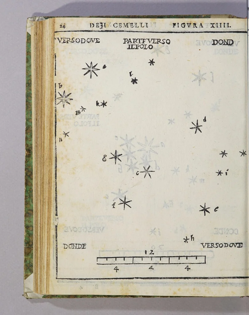 An illustration from De le stelle fisse libro uno; : doue di tutte le XLVIII imagin celesti minutissimamente si tratta ... et oltre à questo ci sono tauolo, con nuoua inuentione fabricate, 1558, leaf 88