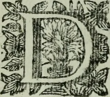 An illustration from De levens-beschryvingen der Nederlandsche konst-schilders en konst-schilderessen, met een uytbreyding over de schilder-konst der ouden, 1729, leaf 13