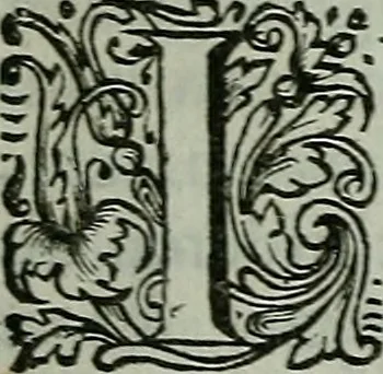 An illustration from De levens-beschryvingen der Nederlandsche konst-schilders en konst-schilderessen, met een uytbreyding over de schilder-konst der ouden, 1729, leaf 24