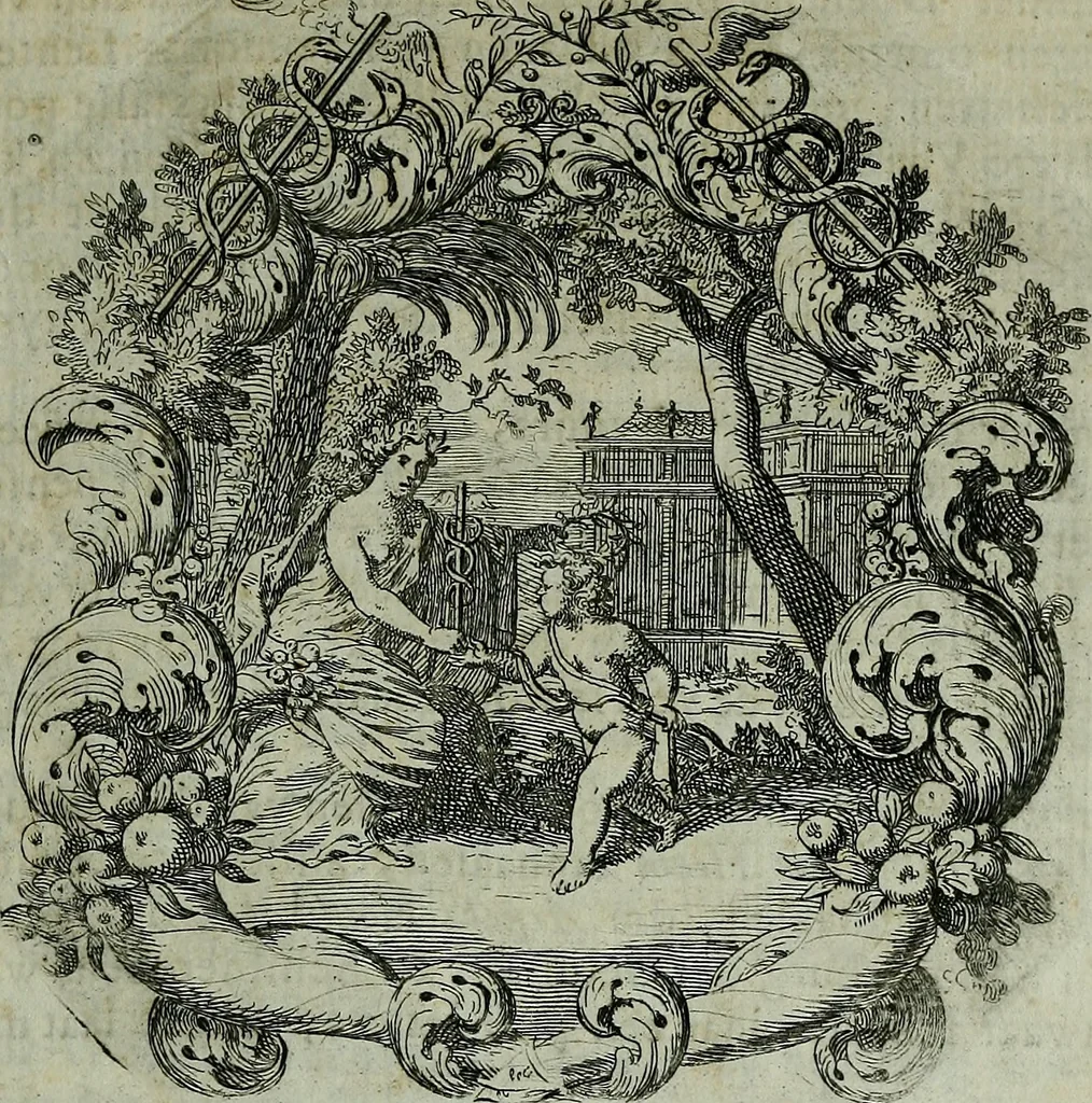An illustration from De levens-beschryvingen der Nederlandsche konst-schilders en konst-schilderessen, met een uytbreyding over de schilder-konst der ouden, 1729, leaf 447