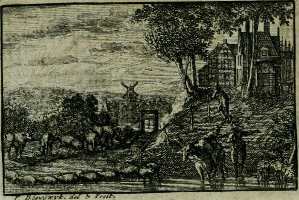 An illustration from De levens-beschryvingen der Nederlandsche konst-schilders en konst-schilderessen, met een uytbreyding over de schilder-konst der ouden, 1729, leaf 213