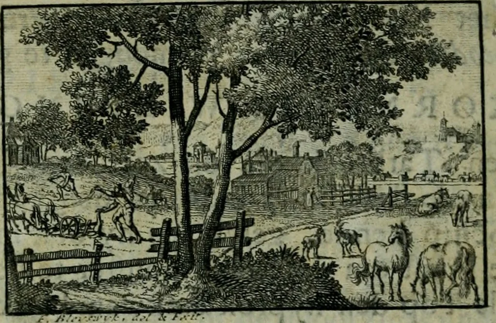 An illustration from De levens-beschryvingen der Nederlandsche konst-schilders en konst-schilderessen, met een uytbreyding over de schilder-konst der ouden, 1729, leaf 237