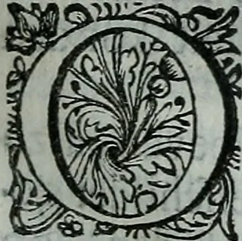 An illustration from De levens-beschryvingen der Nederlandsche konst-schilders en konst-schilderessen, met een uytbreyding over de schilder-konst der ouden, 1729, leaf 100