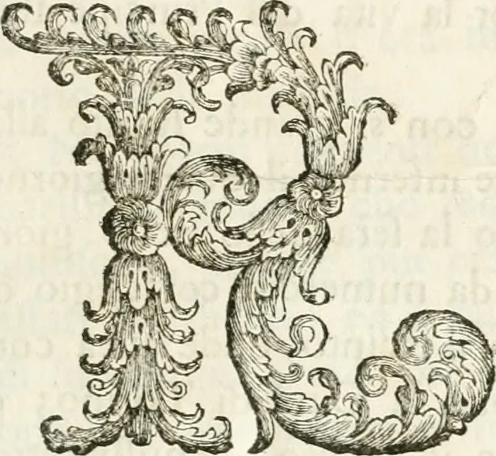 An illustration from Del funerale celebrato nel duomo di Torino all' Altezza Reale di Carlo Emanuele II, duca di Sauoia ... : da madama reale Maria Giovanna Battista di Sauoia, madre e tutrice dell' Altezza Reale di Vittorio Amadeo II, e reggente de' suoi stati, 1676, leaf 12