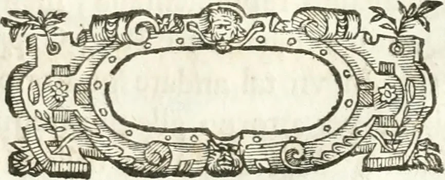 An illustration from Del funerale celebrato nel duomo di Torino all' Altezza Reale di Carlo Emanuele II, duca di Sauoia ... : da madama reale Maria Giovanna Battista di Sauoia, madre e tutrice dell' Altezza Reale di Vittorio Amadeo II, e reggente de' suoi stati, 1676, leaf 122