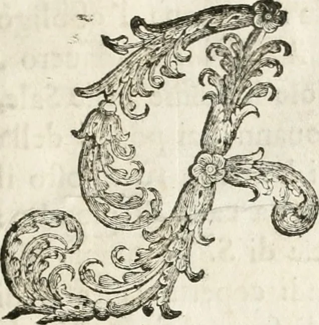 An illustration from Del funerale celebrato nel duomo di Torino all' Altezza Reale di Carlo Emanuele II, duca di Sauoia ... : da madama reale Maria Giovanna Battista di Sauoia, madre e tutrice dell' Altezza Reale di Vittorio Amadeo II, e reggente de' suoi stati, 1676, leaf 22