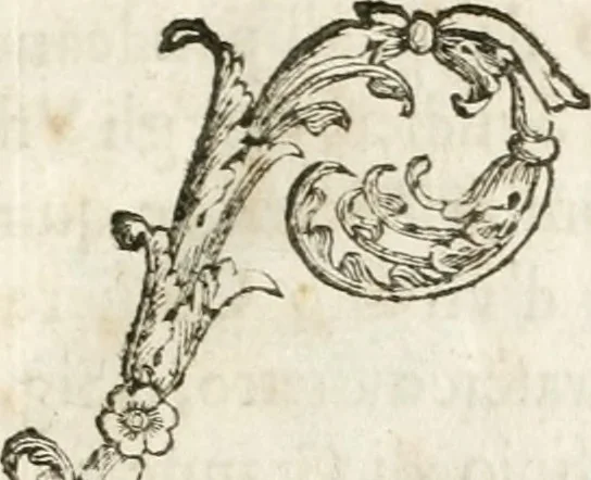 An illustration from Del funerale celebrato nel duomo di Torino all' Altezza Reale di Carlo Emanuele II, duca di Sauoia ... : da madama reale Maria Giovanna Battista di Sauoia, madre e tutrice dell' Altezza Reale di Vittorio Amadeo II, e reggente de' suoi stati, 1676, leaf 26