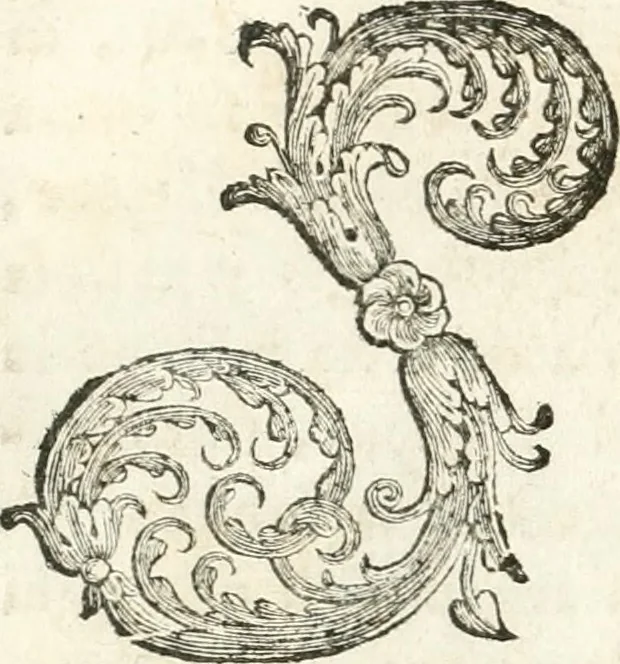 An illustration from Del funerale celebrato nel duomo di Torino all' Altezza Reale di Carlo Emanuele II, duca di Sauoia ... : da madama reale Maria Giovanna Battista di Sauoia, madre e tutrice dell' Altezza Reale di Vittorio Amadeo II, e reggente de' suoi stati, 1676, leaf 31