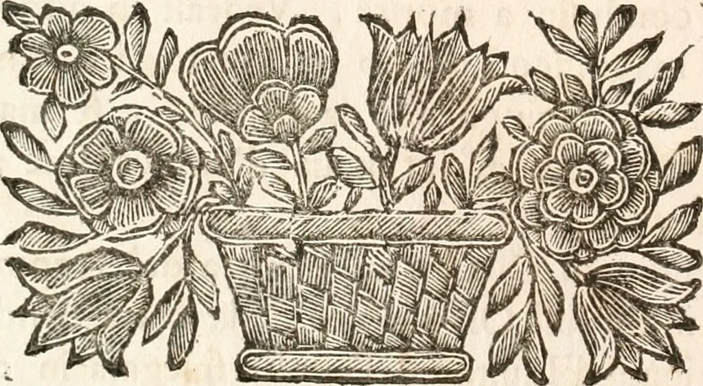 An illustration from Del funerale celebrato nel duomo di Torino all' Altezza Reale di Carlo Emanuele II, duca di Sauoia ... : da madama reale Maria Giovanna Battista di Sauoia, madre e tutrice dell' Altezza Reale di Vittorio Amadeo II, e reggente de' suoi stati, 1676, leaf 35