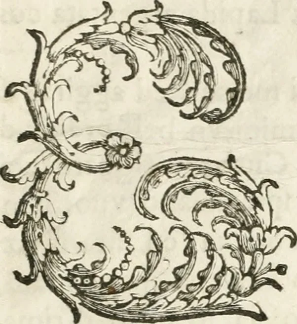 An illustration from Del funerale celebrato nel duomo di Torino all' Altezza Reale di Carlo Emanuele II, duca di Sauoia ... : da madama reale Maria Giovanna Battista di Sauoia, madre e tutrice dell' Altezza Reale di Vittorio Amadeo II, e reggente de' suoi stati, 1676, leaf 38