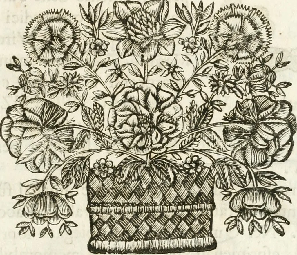 An illustration from Del funerale celebrato nel duomo di Torino all' Altezza Reale di Carlo Emanuele II, duca di Sauoia ... : da madama reale Maria Giovanna Battista di Sauoia, madre e tutrice dell' Altezza Reale di Vittorio Amadeo II, e reggente de' suoi stati, 1676, leaf 48