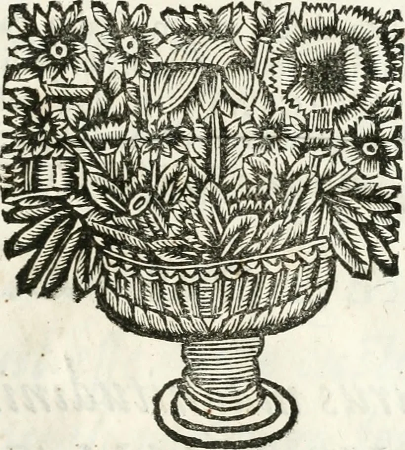 An illustration from Del funerale celebrato nel duomo di Torino all' Altezza Reale di Carlo Emanuele II, duca di Sauoia ... : da madama reale Maria Giovanna Battista di Sauoia, madre e tutrice dell' Altezza Reale di Vittorio Amadeo II, e reggente de' suoi stati, 1676, leaf 72
