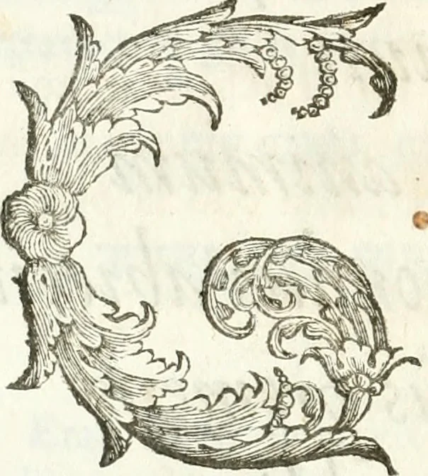 An illustration from Del funerale celebrato nel duomo di Torino all' Altezza Reale di Carlo Emanuele II, duca di Sauoia ... : da madama reale Maria Giovanna Battista di Sauoia, madre e tutrice dell' Altezza Reale di Vittorio Amadeo II, e reggente de' suoi stati, 1676, leaf 79