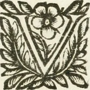 An illustration from Del funerale celebrato nel duomo di Torino all' Altezza Reale di Carlo Emanuele II, duca di Sauoia ... : da madama reale Maria Giovanna Battista di Sauoia, madre e tutrice dell' Altezza Reale di Vittorio Amadeo II, e reggente de' suoi stati, 1676, leaf 8