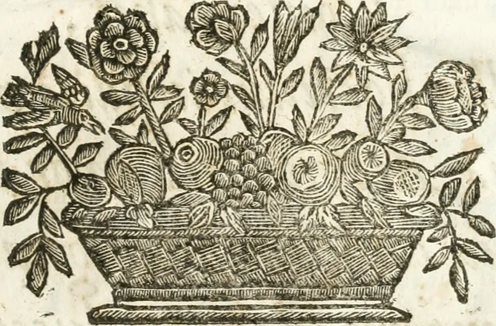 An illustration from Del funerale celebrato nel duomo di Torino all' Altezza Reale di Carlo Emanuele II, duca di Sauoia ... : da madama reale Maria Giovanna Battista di Sauoia, madre e tutrice dell' Altezza Reale di Vittorio Amadeo II, e reggente de' suoi stati, 1676, leaf 80