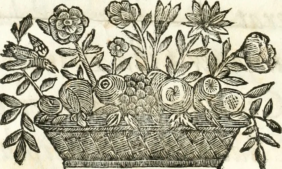 An illustration from Del funerale celebrato nel duomo di Torino all' Altezza Reale di Carlo Emanuele II, duca di Sauoia ... : da madama reale Maria Giovanna Battista di Sauoia, madre e tutrice dell' Altezza Reale di Vittorio Amadeo II, e reggente de' suoi stati, 1676, leaf 95