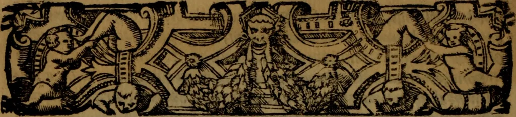 An illustration from Del governo de regni et delle republiche antiche et moderne, 1567, leaf 109