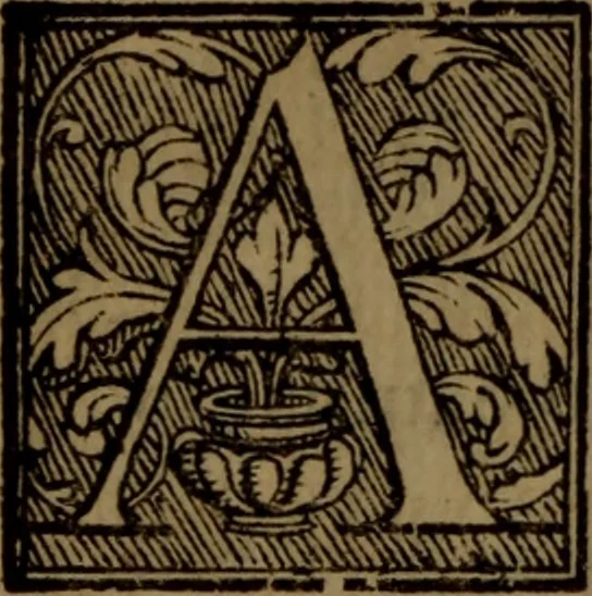 An illustration from Del governo de regni et delle republiche antiche et moderne, 1567, leaf 11