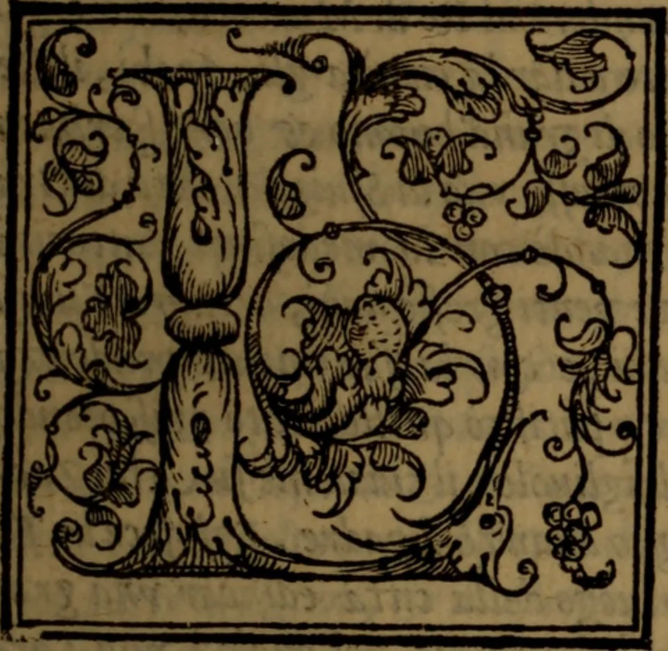 An illustration from Del governo de regni et delle republiche antiche et moderne, 1567, leaf 116