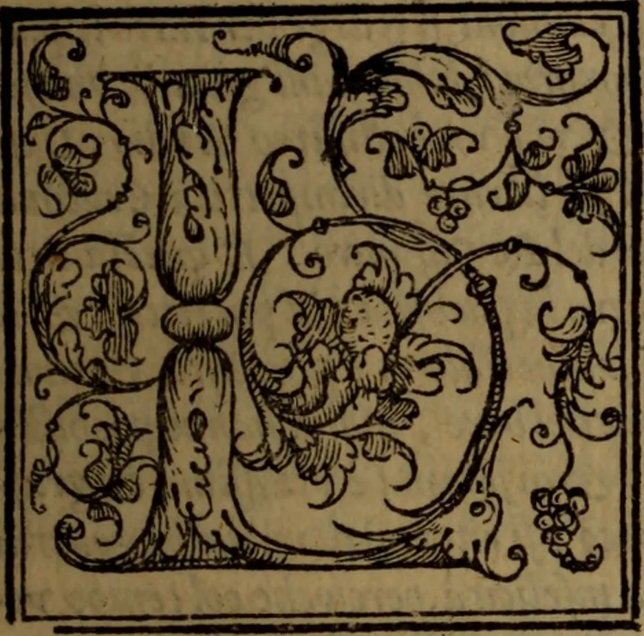 An illustration from Del governo de regni et delle republiche antiche et moderne, 1567, leaf 172