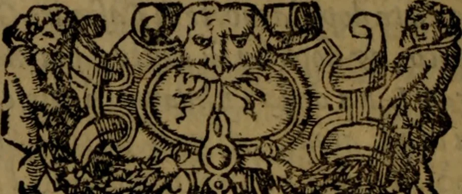 An illustration from Del governo de regni et delle republiche antiche et moderne, 1567, leaf 175
