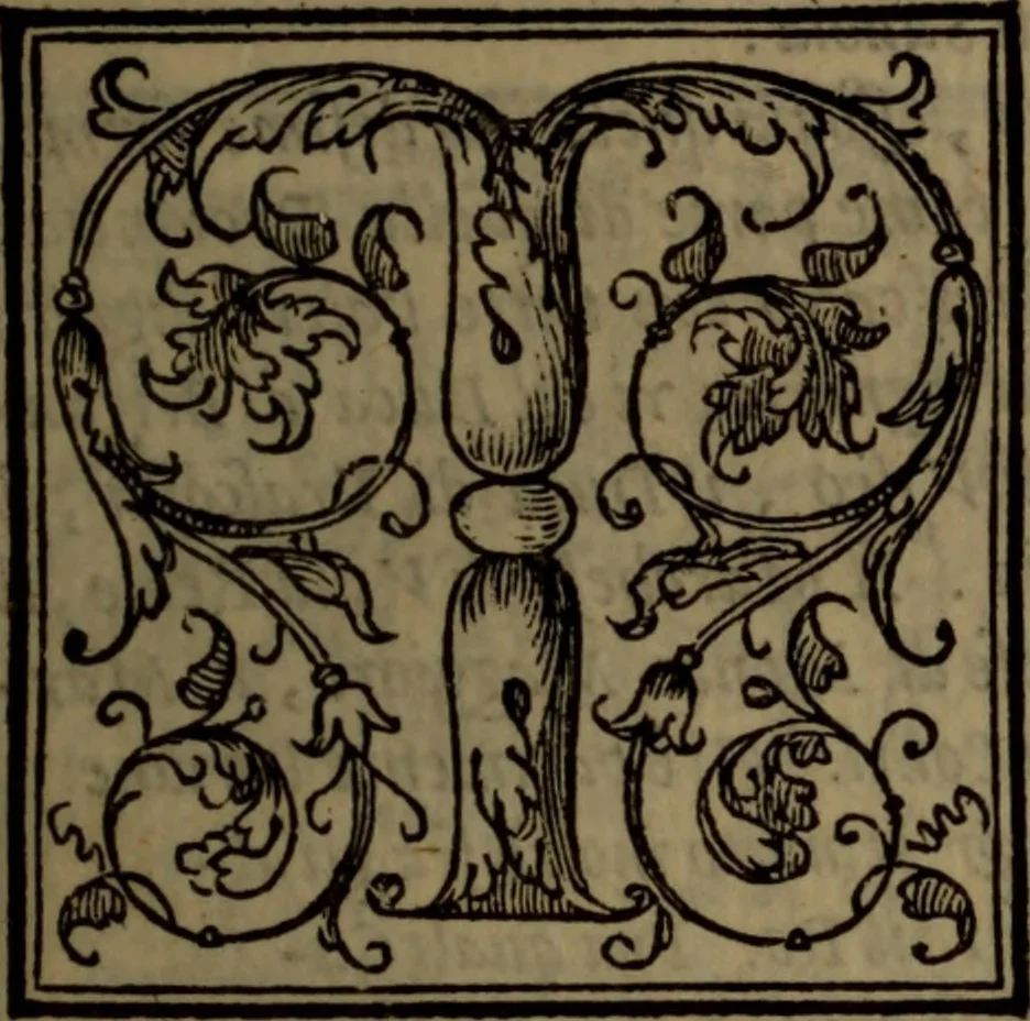 An illustration from Del governo de regni et delle republiche antiche et moderne, 1567, leaf 176