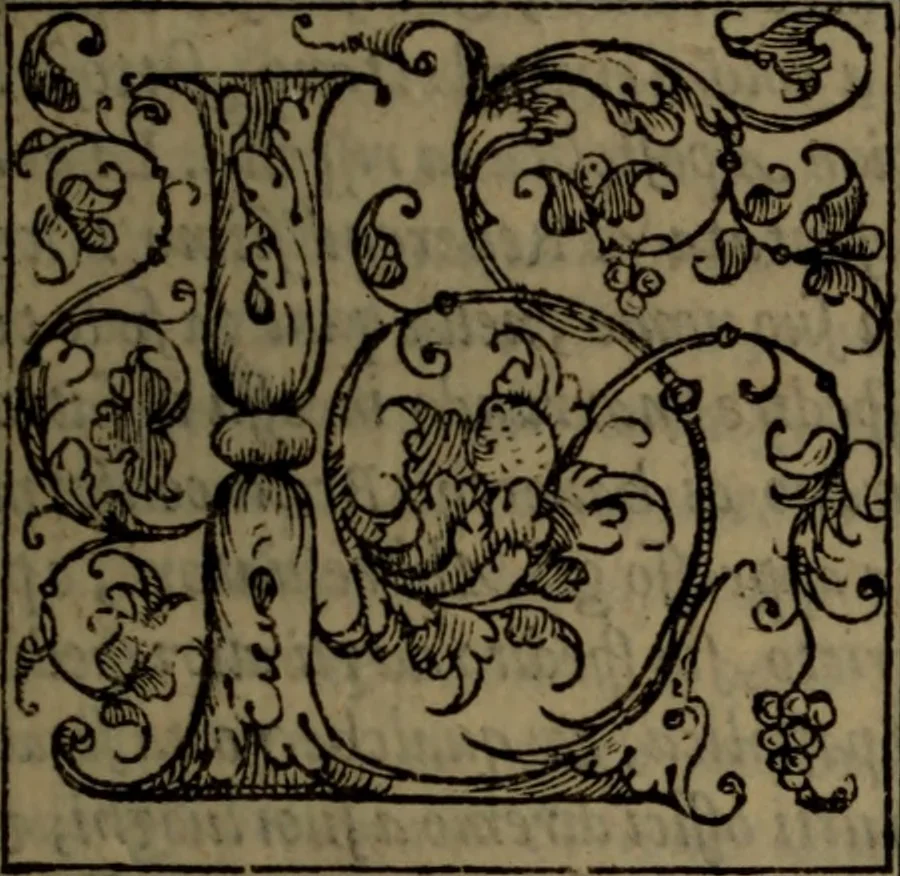 An illustration from Del governo de regni et delle republiche antiche et moderne, 1567, leaf 178