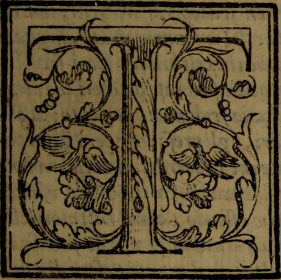 An illustration from Del governo de regni et delle republiche antiche et moderne, 1567, leaf 194