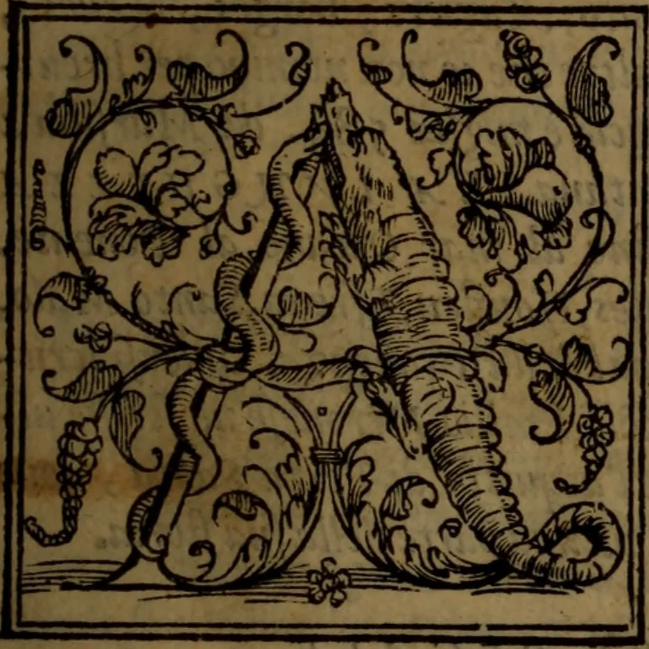 An illustration from Del governo de regni et delle republiche antiche et moderne, 1567, leaf 20