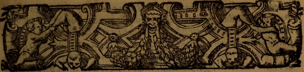 An illustration from Del governo de regni et delle republiche antiche et moderne, 1567, leaf 236