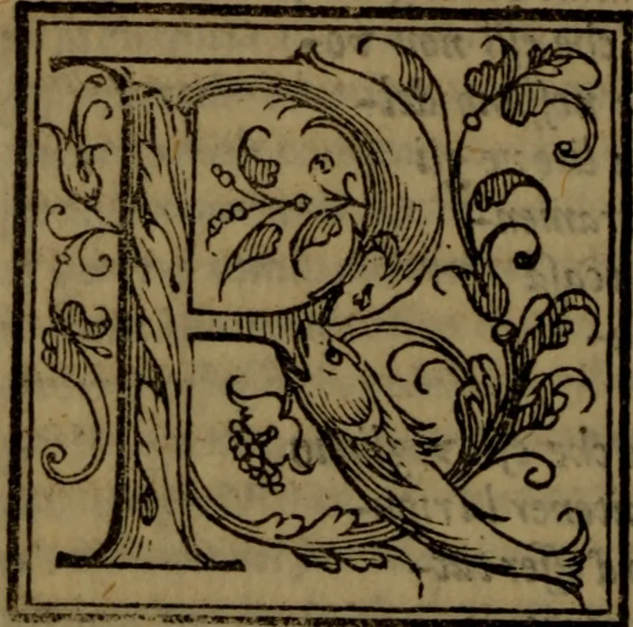An illustration from Del governo de regni et delle republiche antiche et moderne, 1567, leaf 241