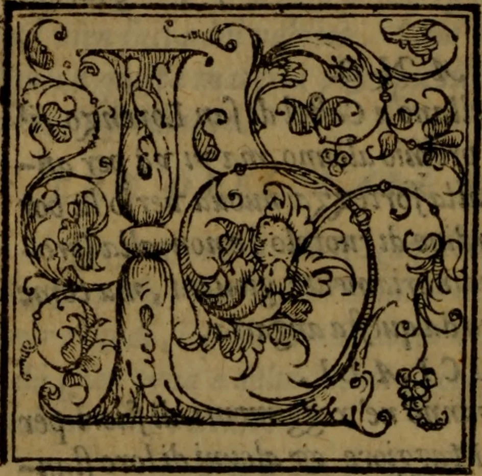 An illustration from Del governo de regni et delle republiche antiche et moderne, 1567, leaf 249