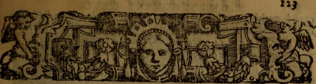 An illustration from Del governo de regni et delle republiche antiche et moderne, 1567, leaf 264
