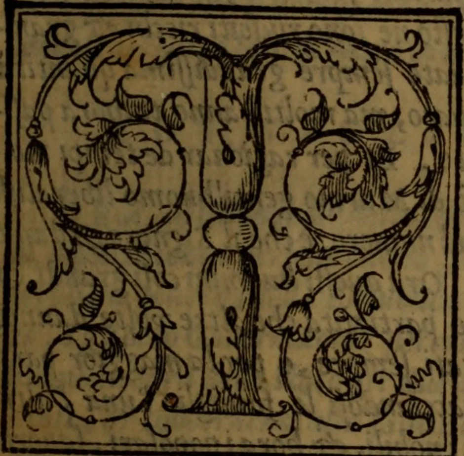 An illustration from Del governo de regni et delle republiche antiche et moderne, 1567, leaf 264