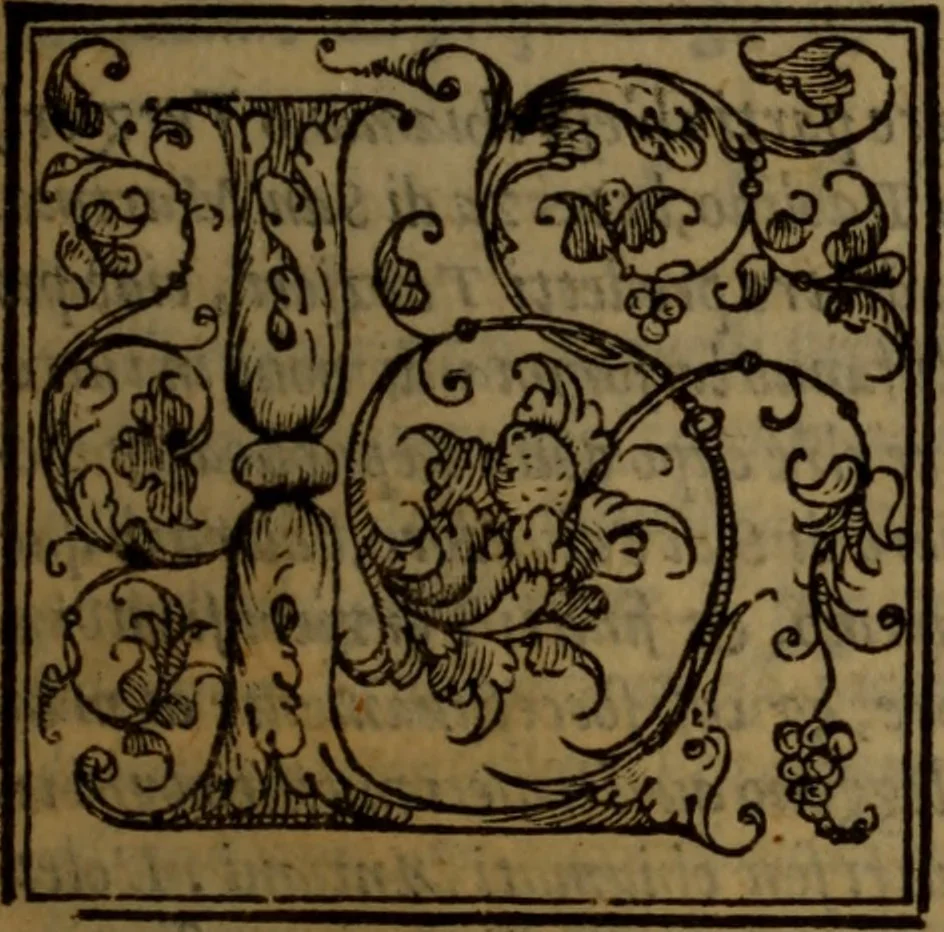 An illustration from Del governo de regni et delle republiche antiche et moderne, 1567, leaf 310
